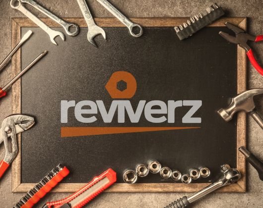 Who we are (Reviverz)